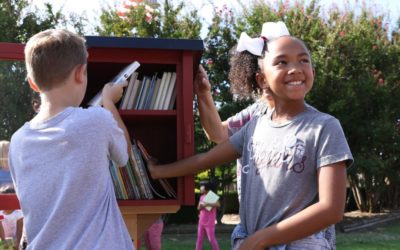 We love Little Free Libraries